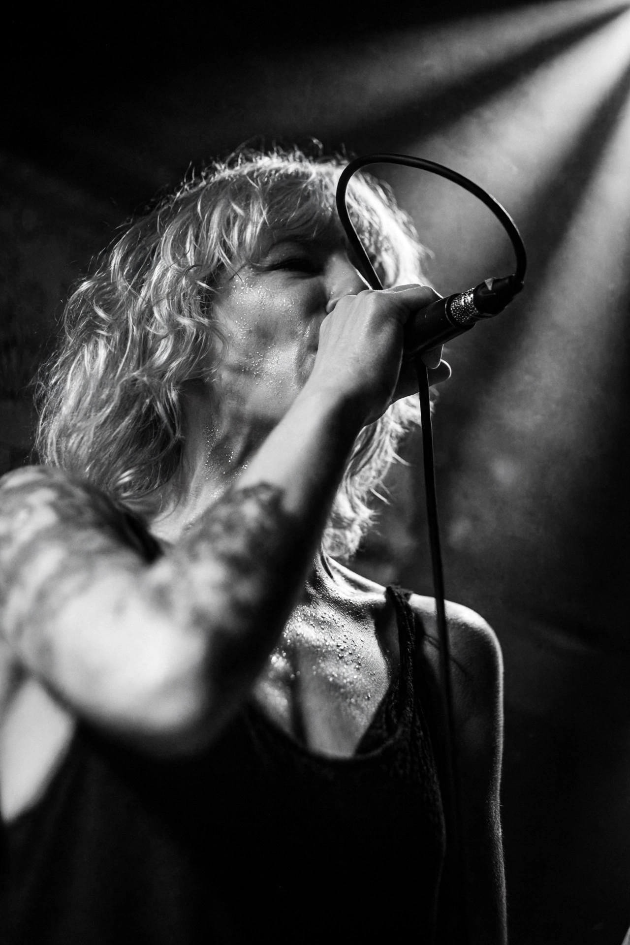 Black Pig, photographie par SLOWN
